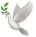 메인페이지 새 그림